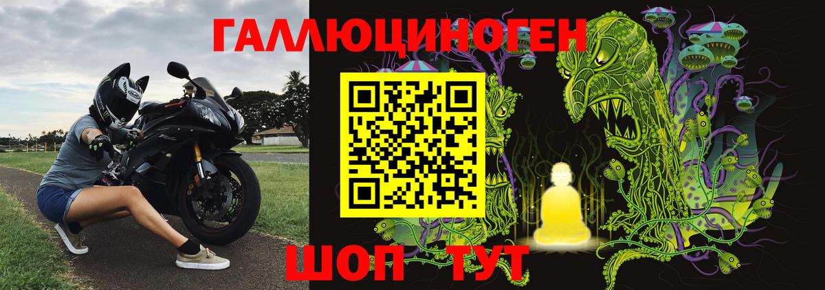 Псилоцибиновые грибы Psilocybine cubensis  Вход с VPN  купить закладку  Псилоцибиновые грибы Psilocybine cubensis  Камень-на-Оби 
